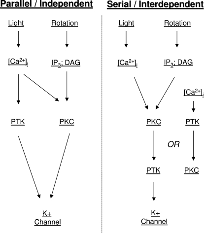 Fig. 15.