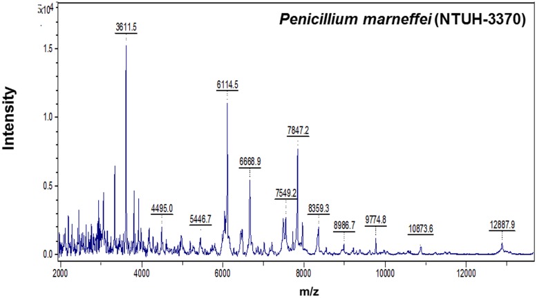 FIGURE 2