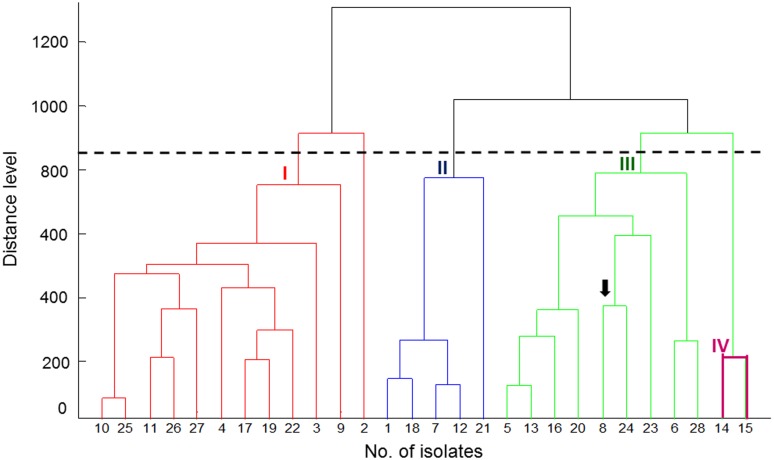 FIGURE 1