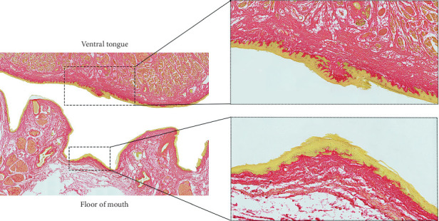 Figure 6