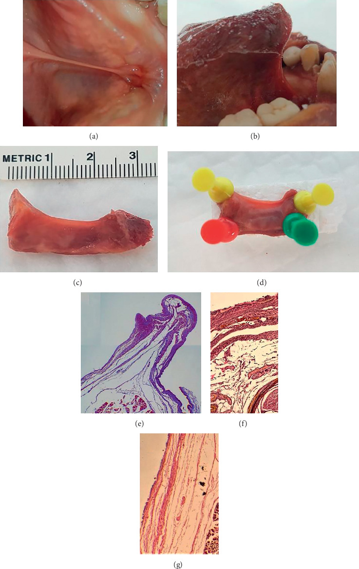 Figure 12