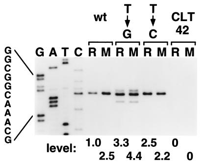 FIG. 7