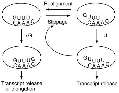 FIG. 8