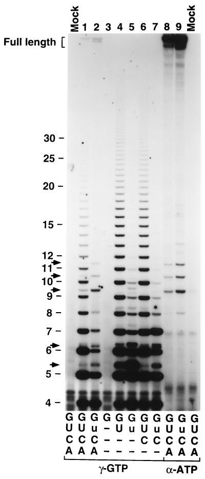 FIG. 4