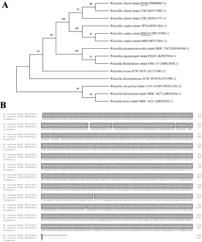 Figure 6