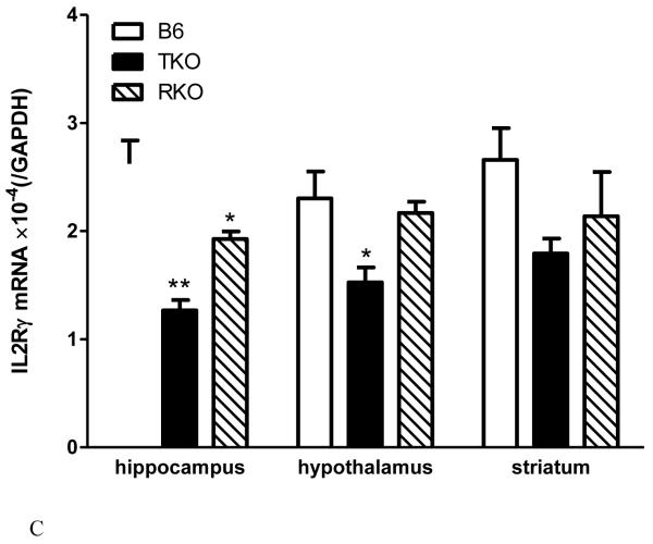 Fig.1