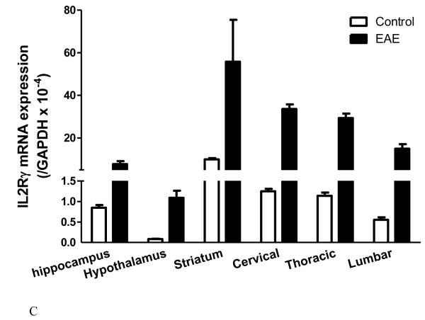 Fig.3