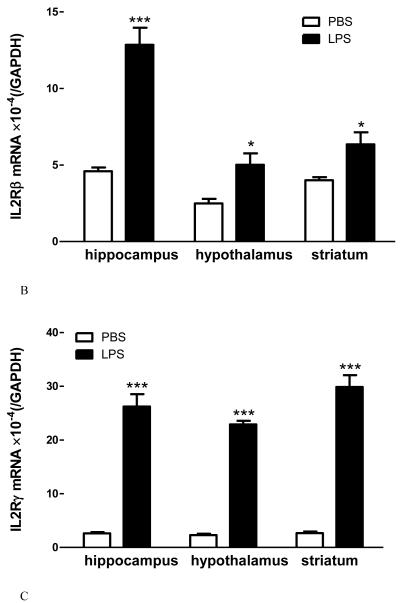 Fig.2