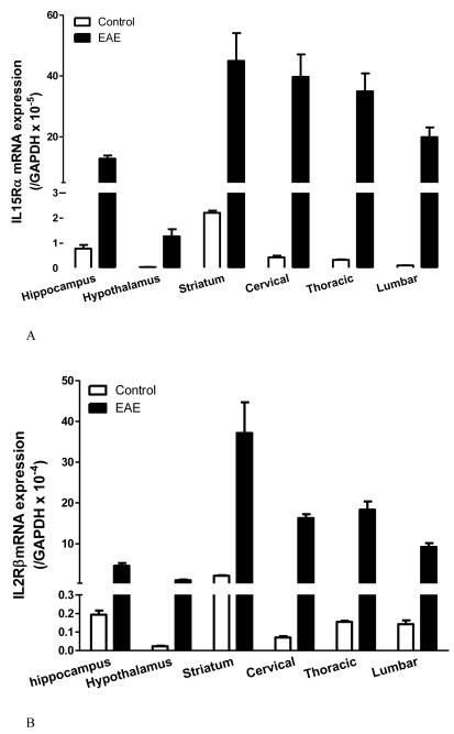 Fig.3