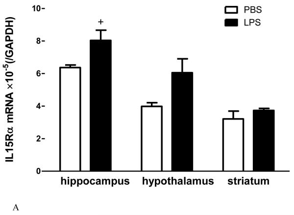 Fig.2