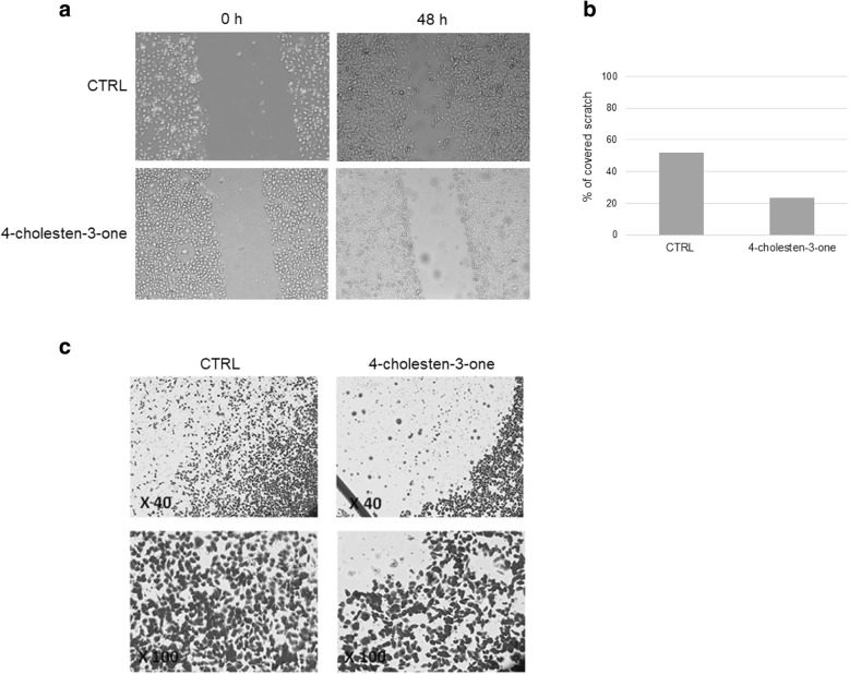 Fig. 10