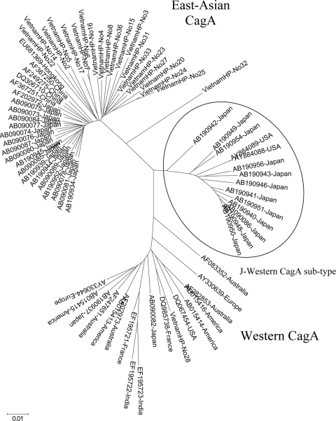 FIG. 2.