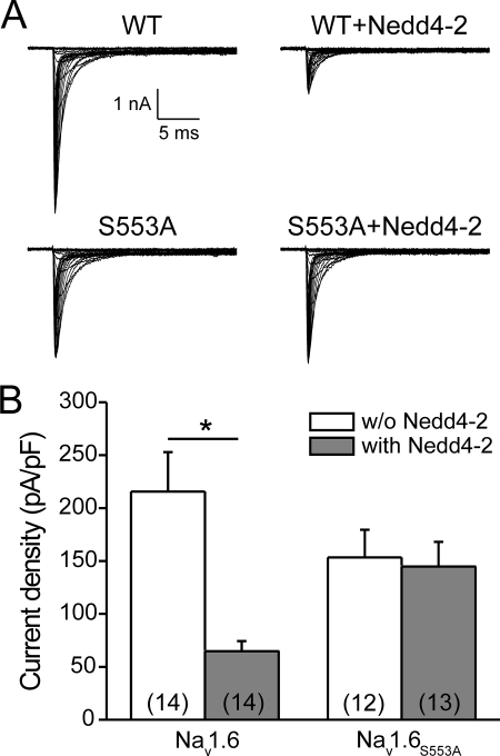 FIGURE 7.