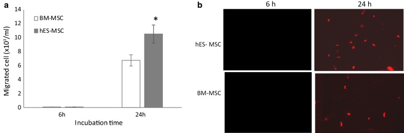 Fig. 7