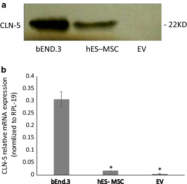 Fig. 4