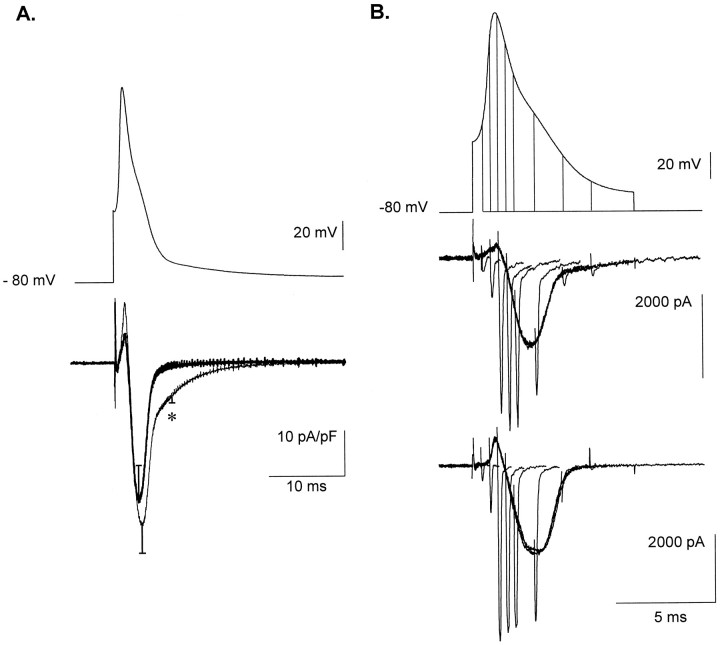 Fig. 8.