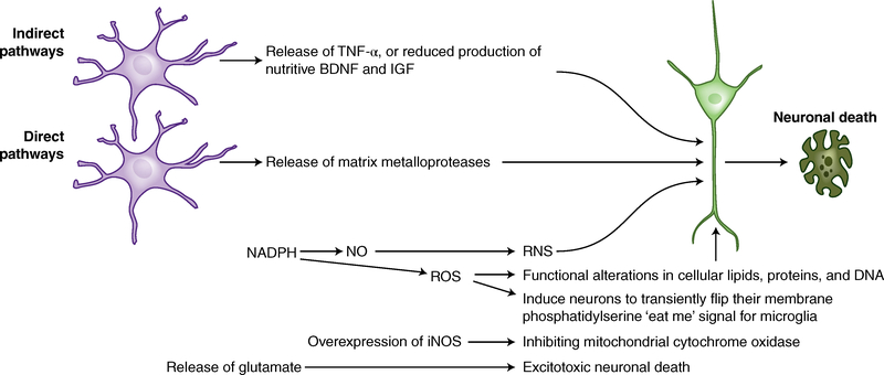 Fig. 4 |