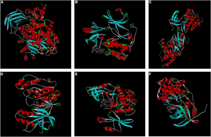 FIGURE 4