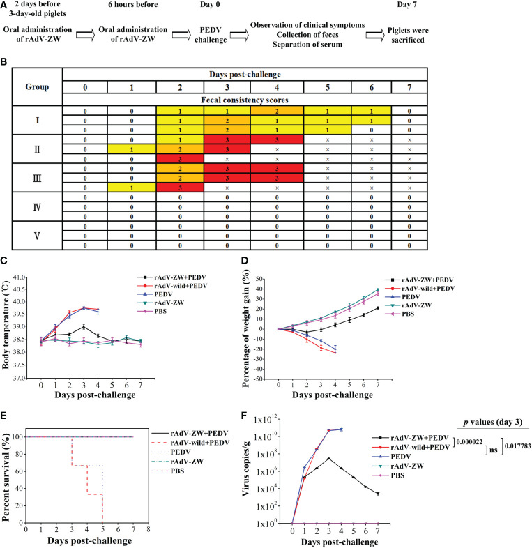 Figure 5