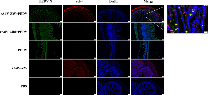 Figure 6