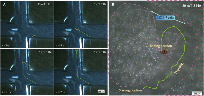 Fig. 7.