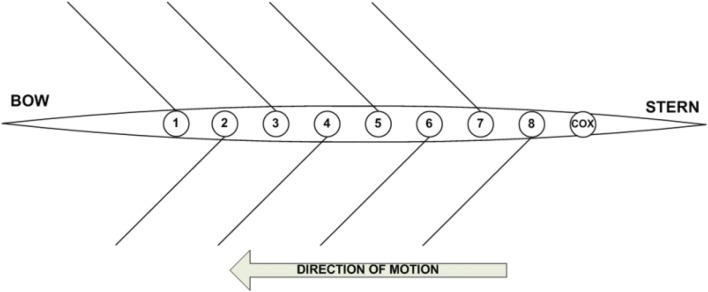 Fig. 1