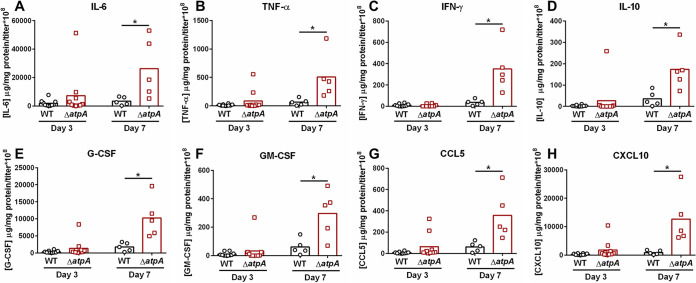 FIG 6