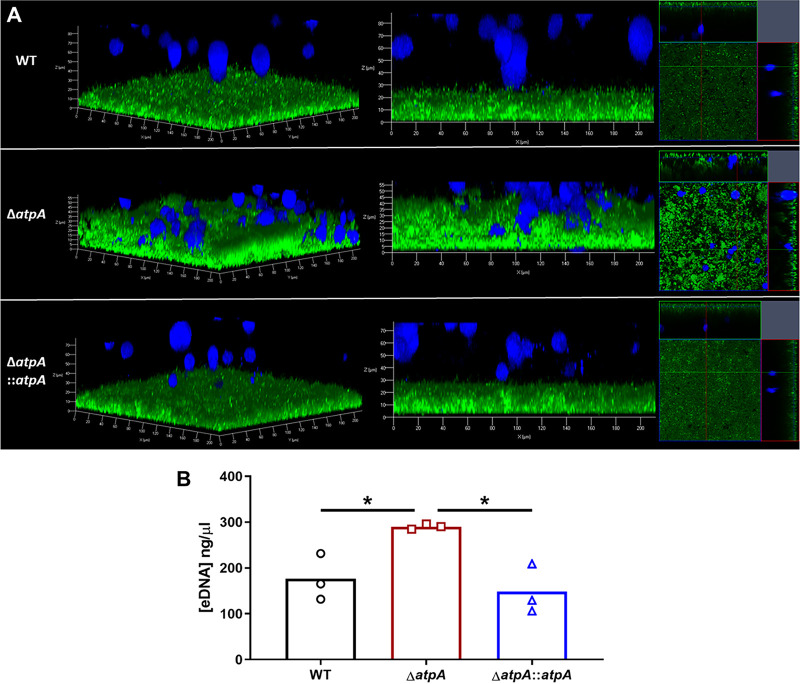 FIG 3