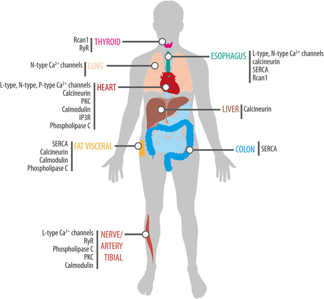 FIGURE 3