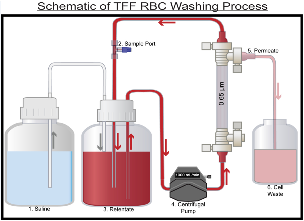 Figure 1: