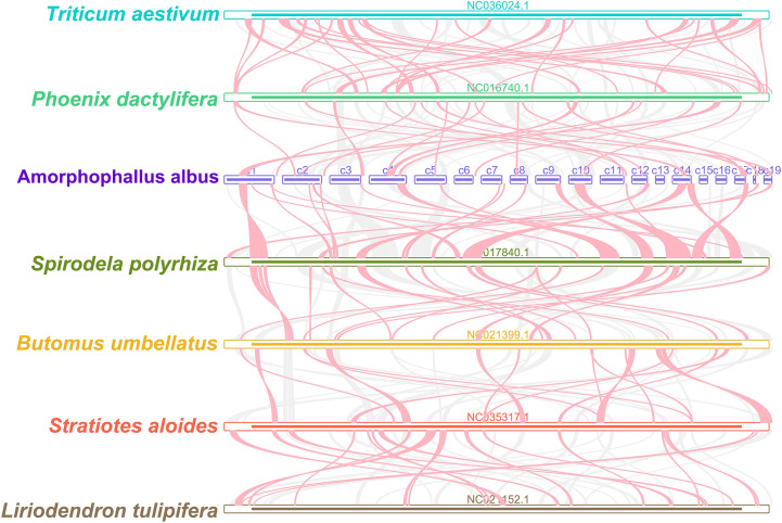 Figure 6