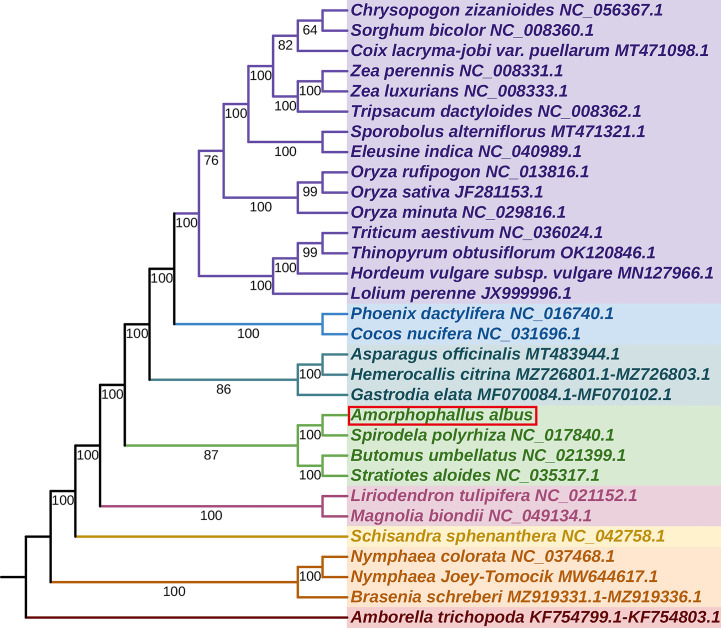 Figure 7