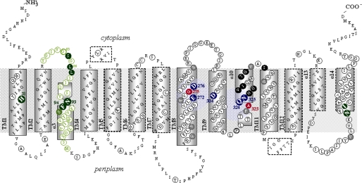 FIGURE 1.