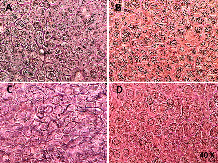 Fig. 4