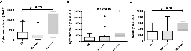 Fig 8