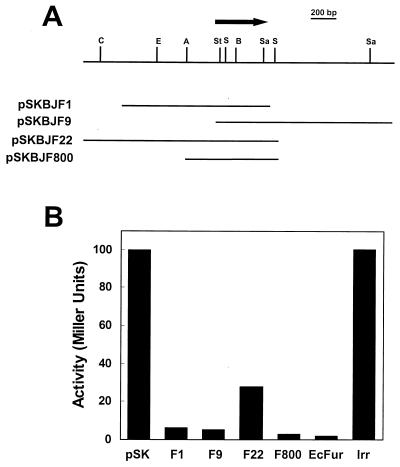 FIG. 1