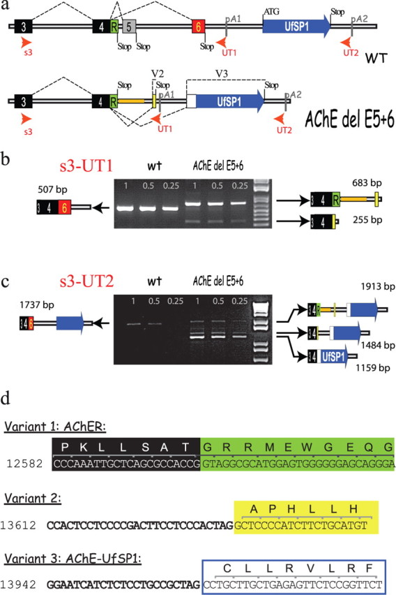 Figure 7.