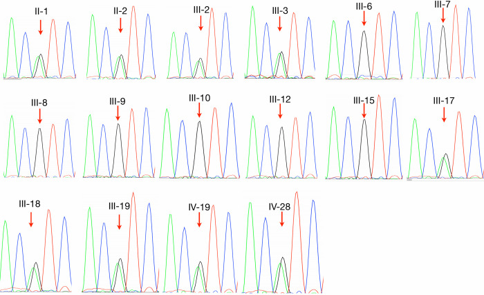 Fig 2