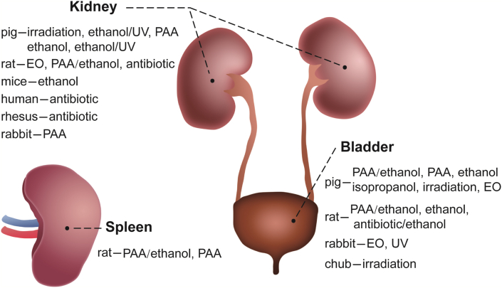 Fig. 8