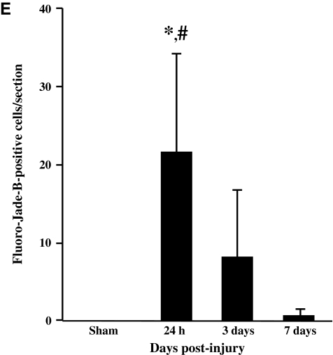 FIG. 9.