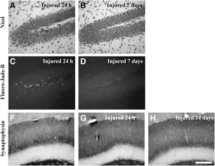 FIG. 9.