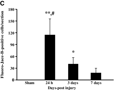 FIG. 7.