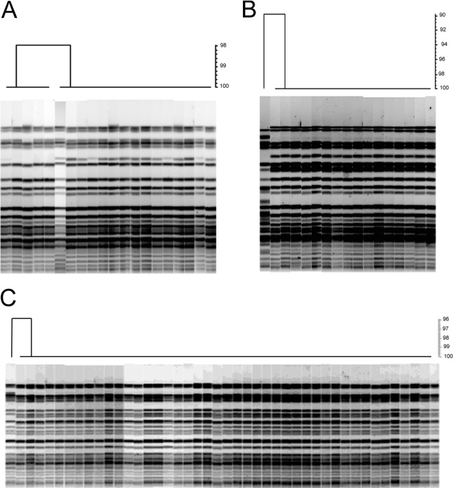 FIG 2