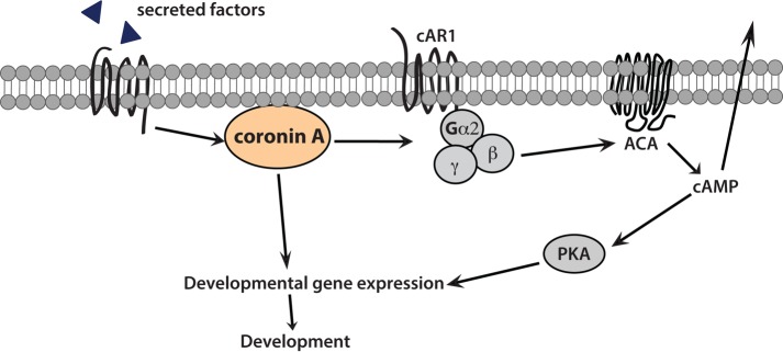 FIGURE 9: