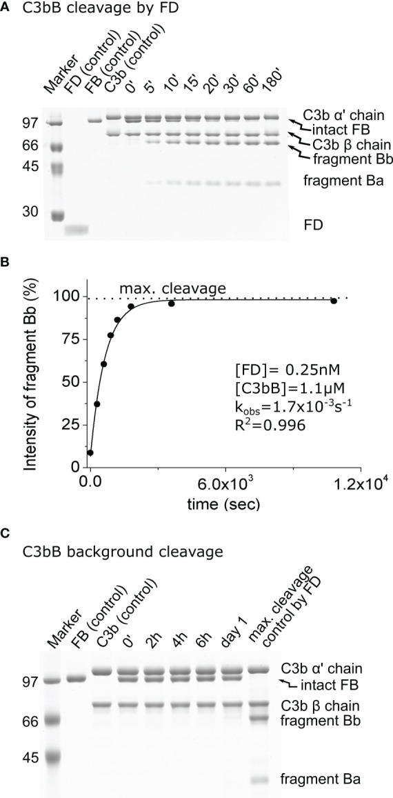 Figure 1