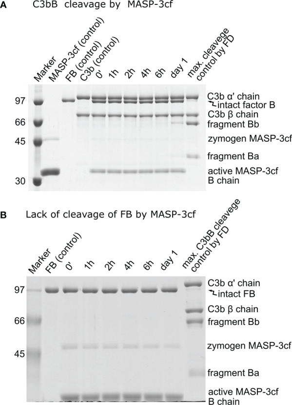 Figure 5