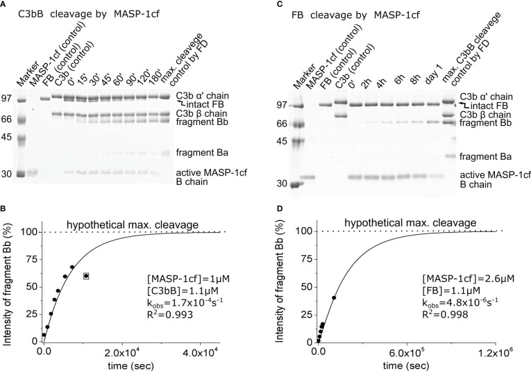 Figure 4