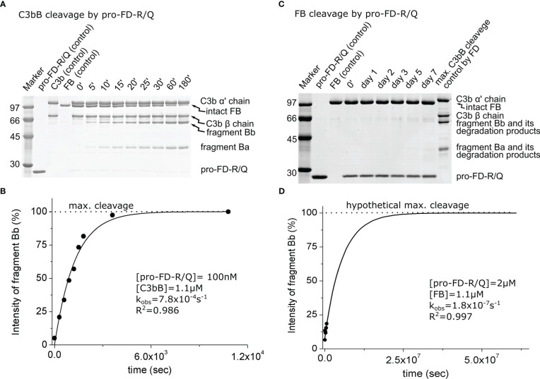 Figure 3