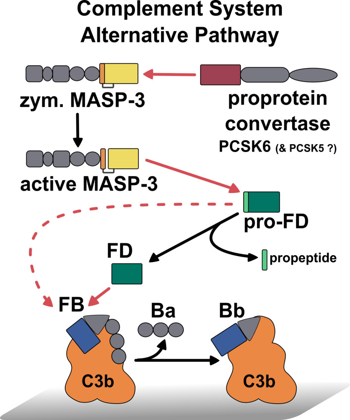 Figure 7