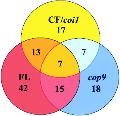 Figure 7.